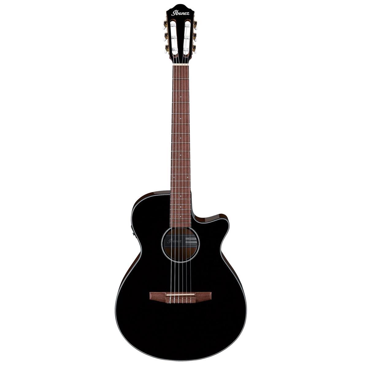Ibanez AEG50N 6-String Acoustic Electric Guitar for $219 Shipped