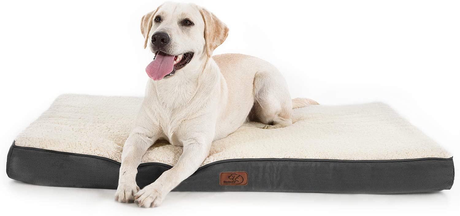 Orthopedic Egg-Crate Foam Dog Beds for $20.99 Shipped