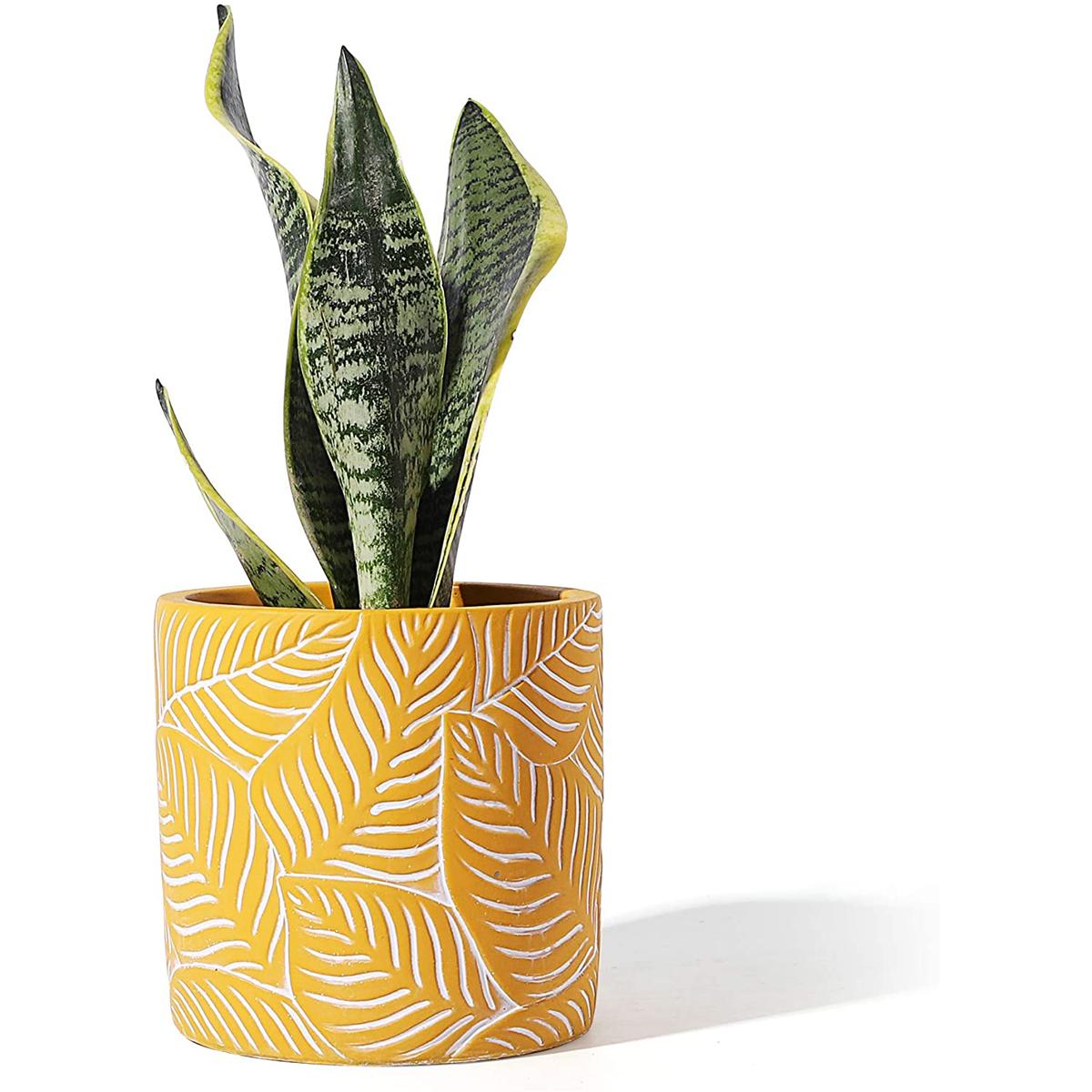 Potey Cement Planter Flower Pot for $16.79