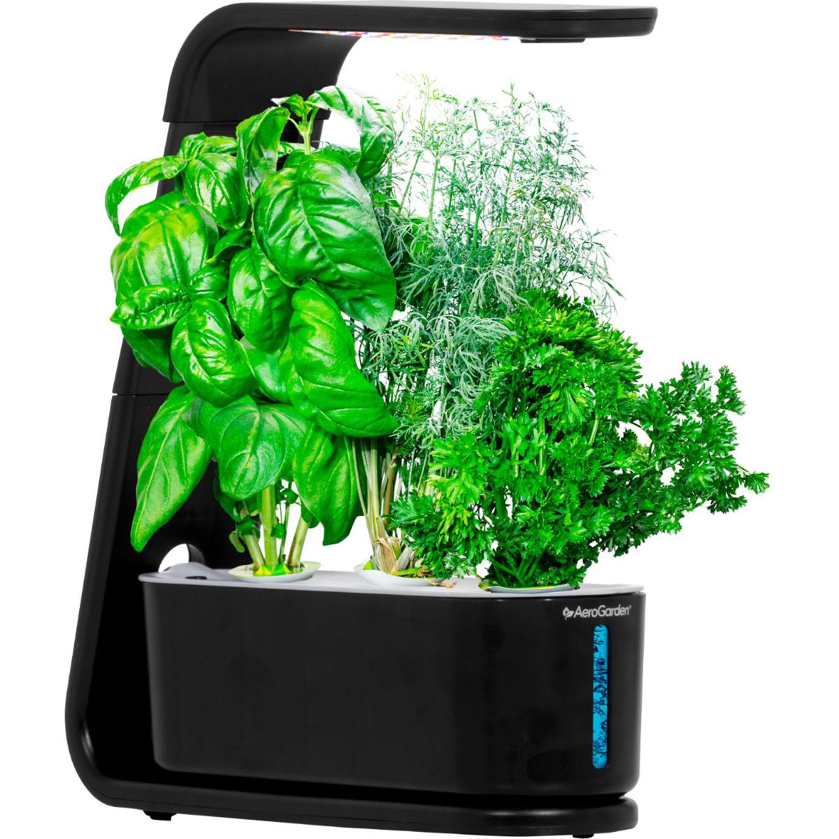 AeroGarden Sprout Easy Setup Healthy Cooking Garden for $59.99 Shipped