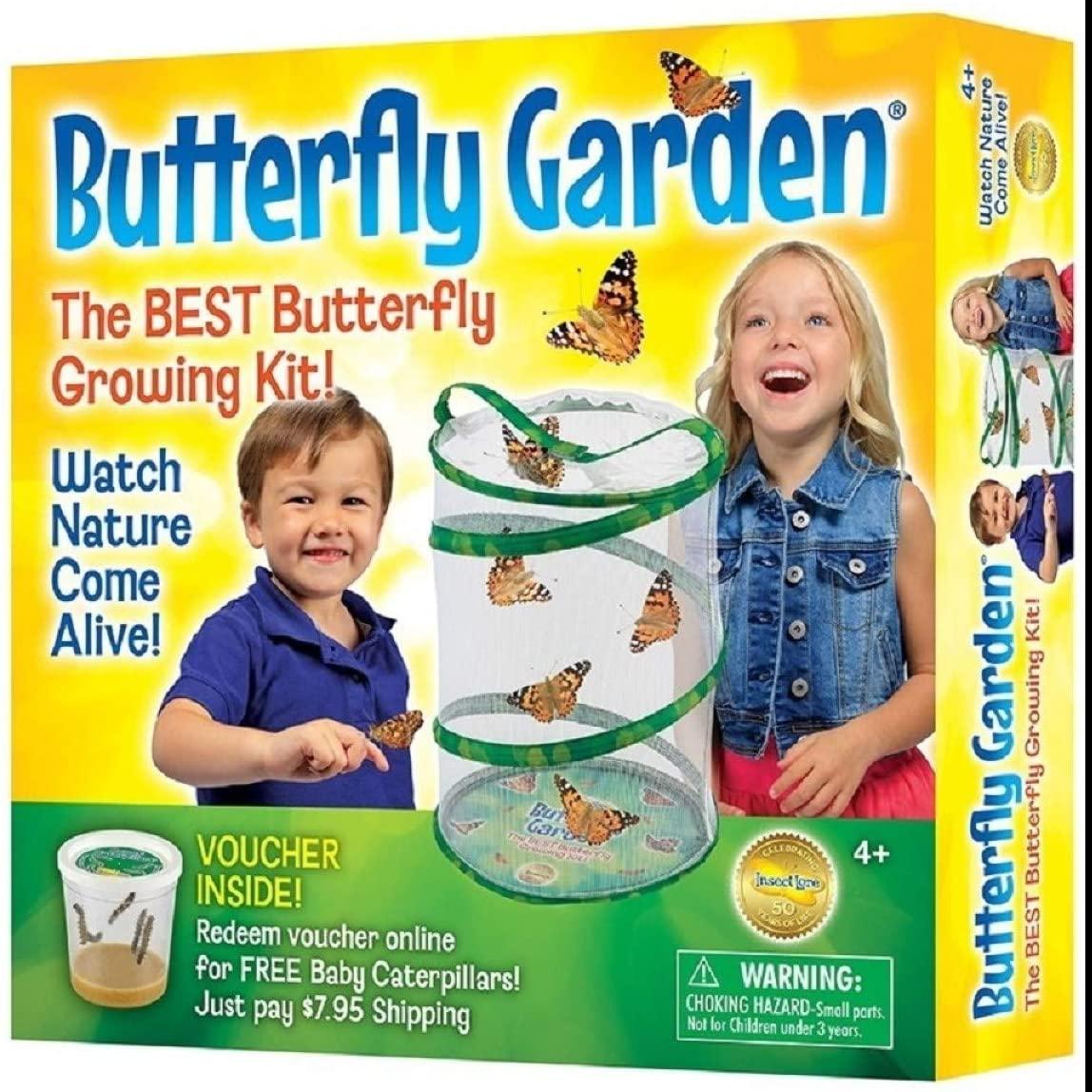 Insect Lore BH Butterfly Growing Kit for $18.59