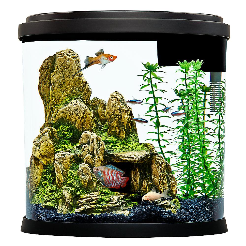 Top Fin Enchant 3.5-Gallon Aquarium for $12.49