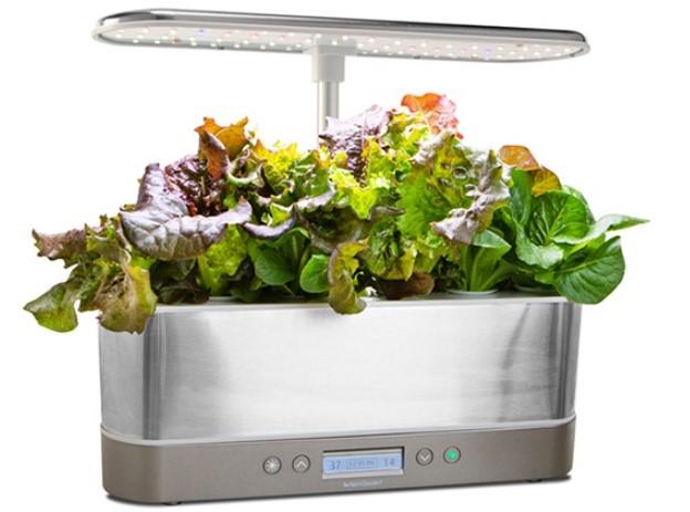Aerogarden Harvest Elite Slim + Heirloom Salad Seed Pod Kit for $49.99