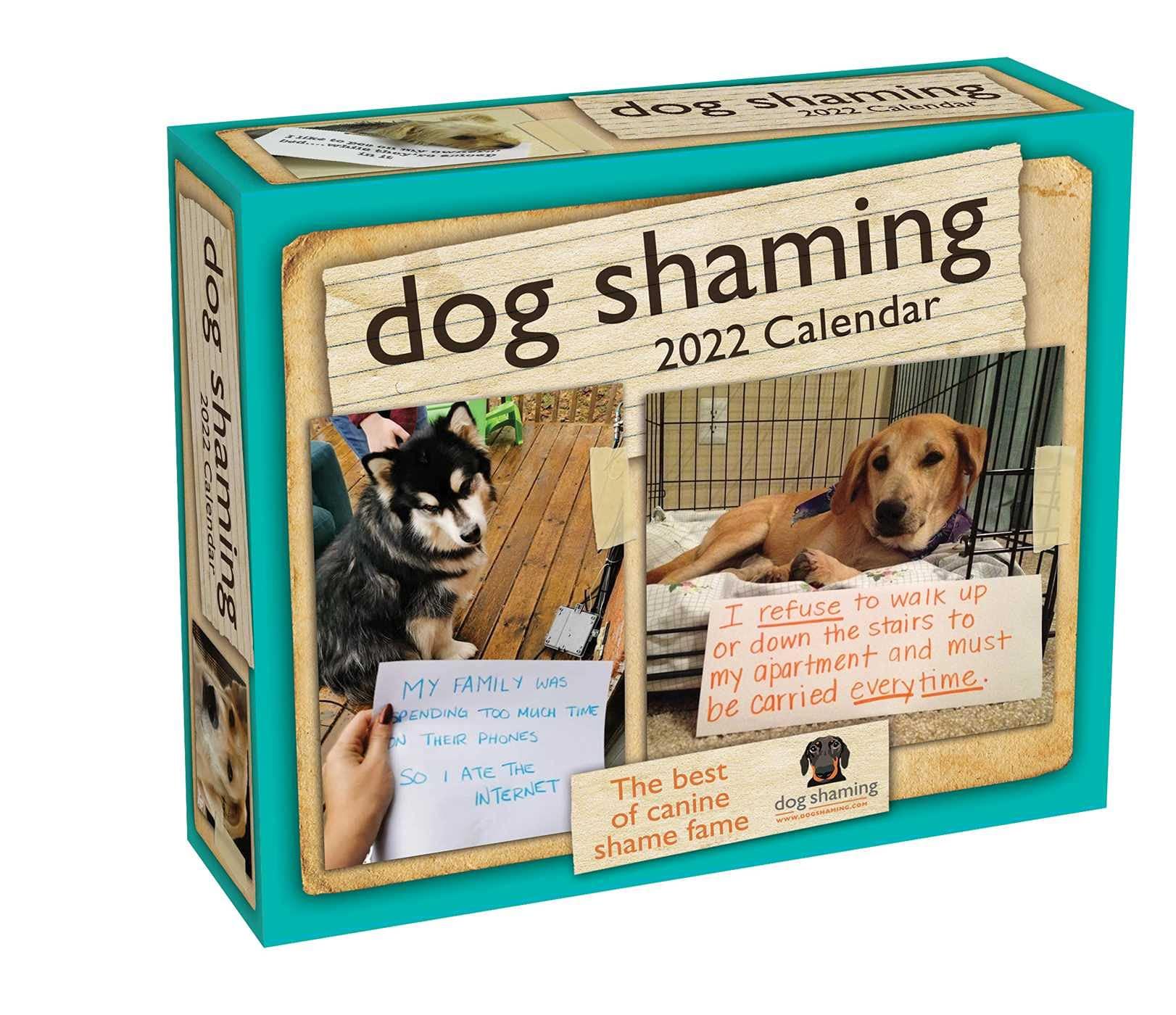 Dog Shaming 2022 Day-to-Day Calendar for $7.99