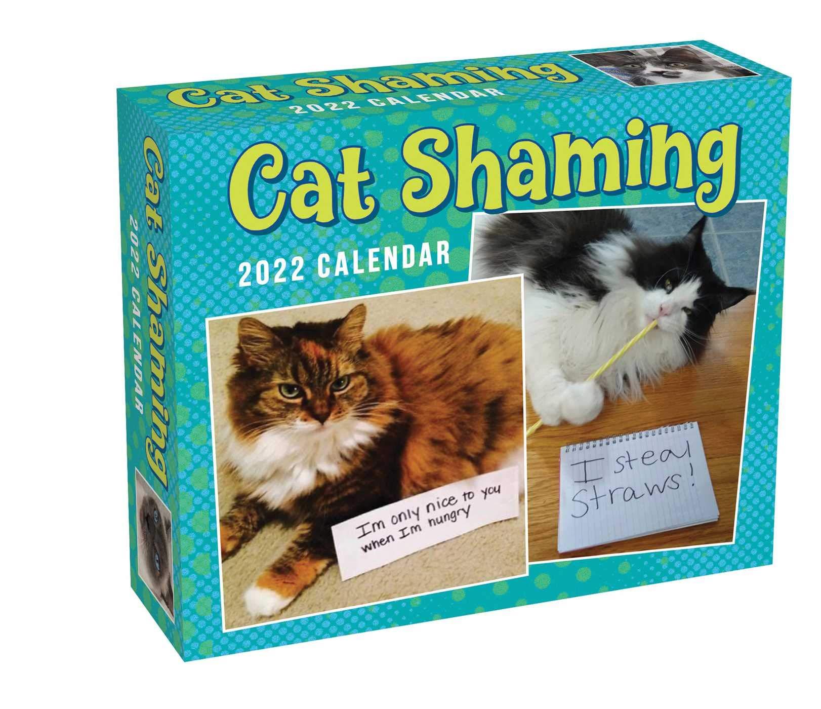 Cat Shaming 2022 Day-to-Day Calendar for $7.99