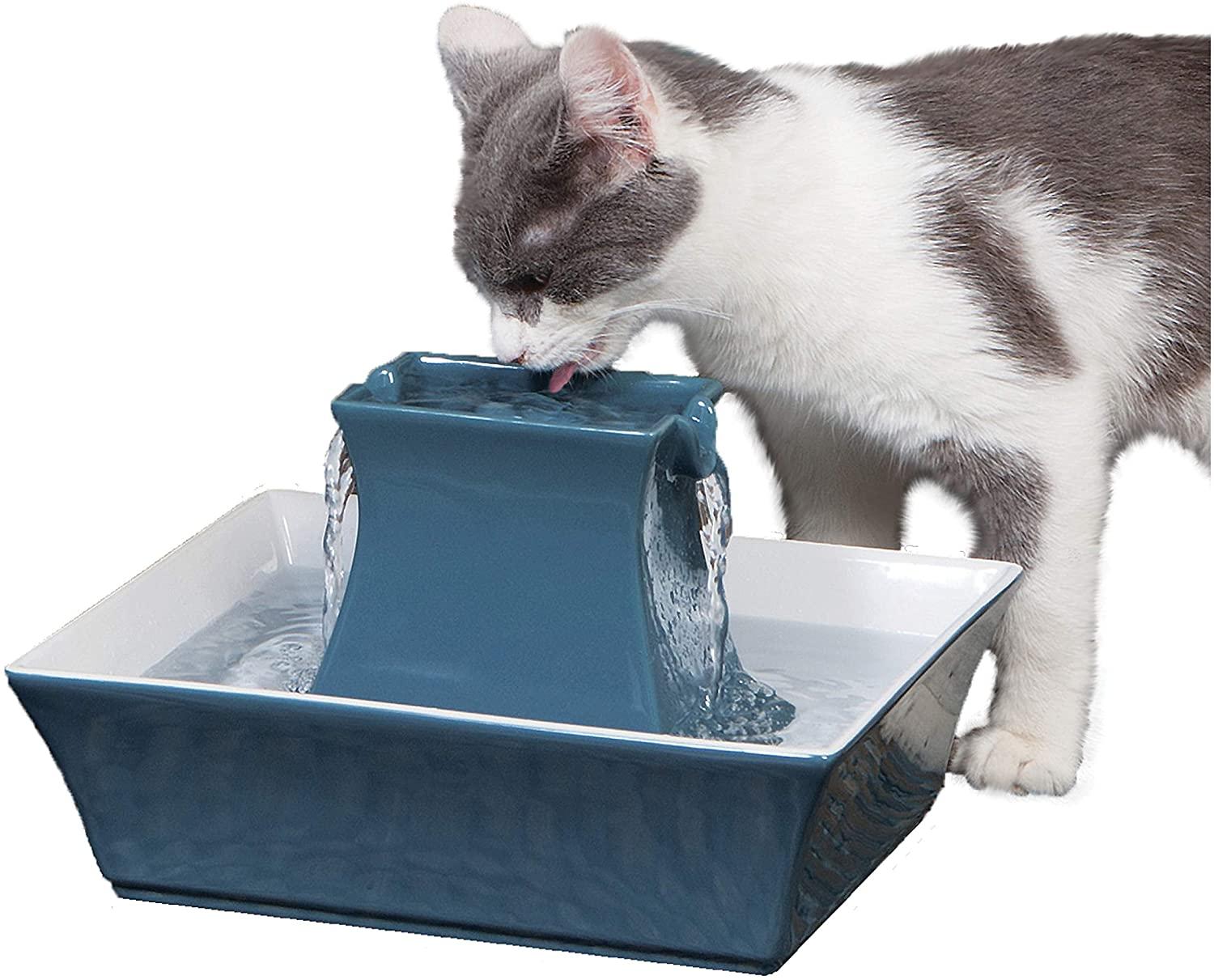 PetSafe Drinkwell Ceramic Pagoda Cat & Dog Drinking Fountain for $50 Shipped