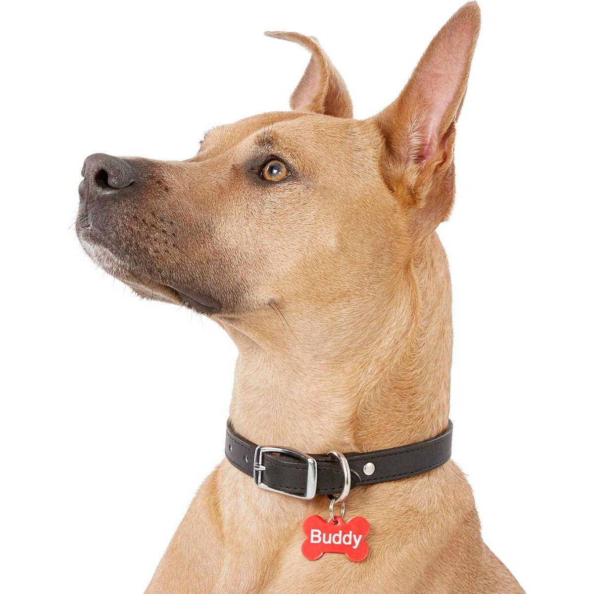 Free Fido Alert Pet Tags
