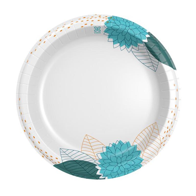 150 Dixie Paper Dinner Plates for $10.48