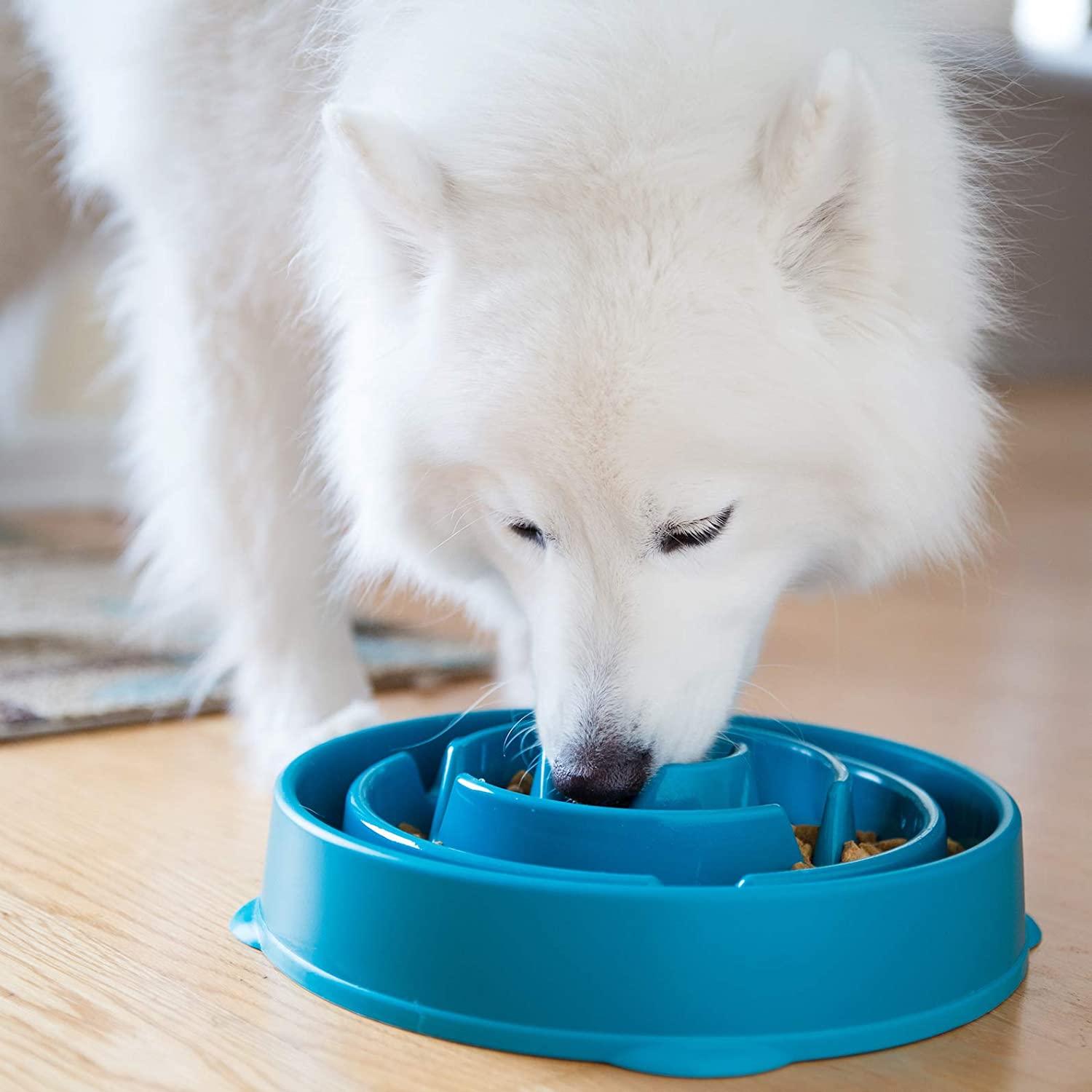 Outward Hound Fun Feeder Slo Dog Bowl for $5.10