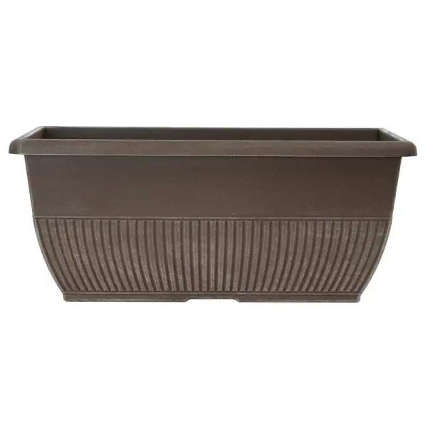 Rene Bark Brush Plastic Window Box for $2.98