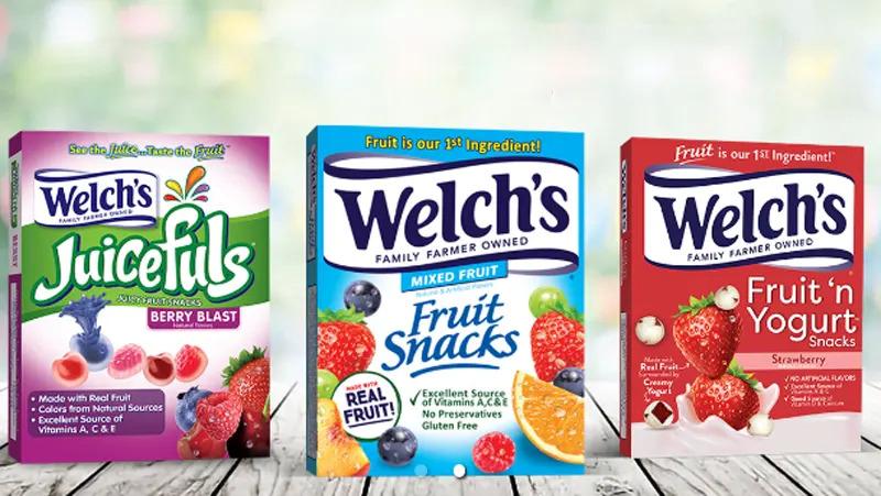 Free Welchs Fruit Snacks Best Kids Lunch Box Party Kit for 250 People