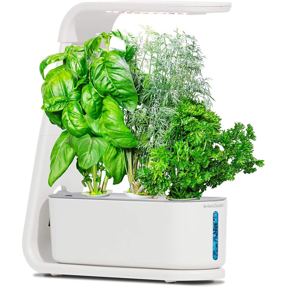 AeroGarden Sprout 3-Pod Hydroponic Indoor Garden for $49.99 Shipped