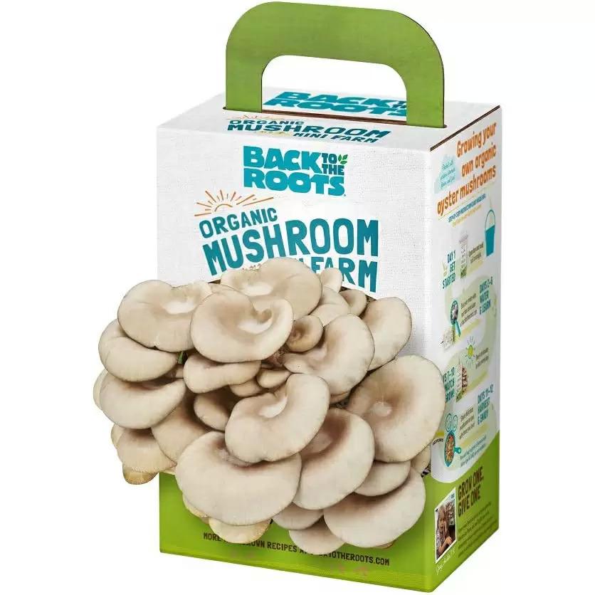 Back to the Roots Organic Mini Oyster Mushroom Grow Kit for $6.49