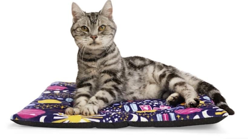 EveryYay Essentials Cat Mat for $3.50