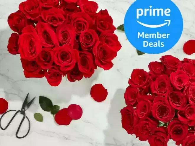 Whole Foods Market 2-Dozen Bunch of Roses Flowers for $24.99