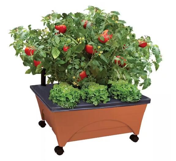 City Pickers Patio Raised Garden Bed Grow Box Kit for $26.98 Shipped