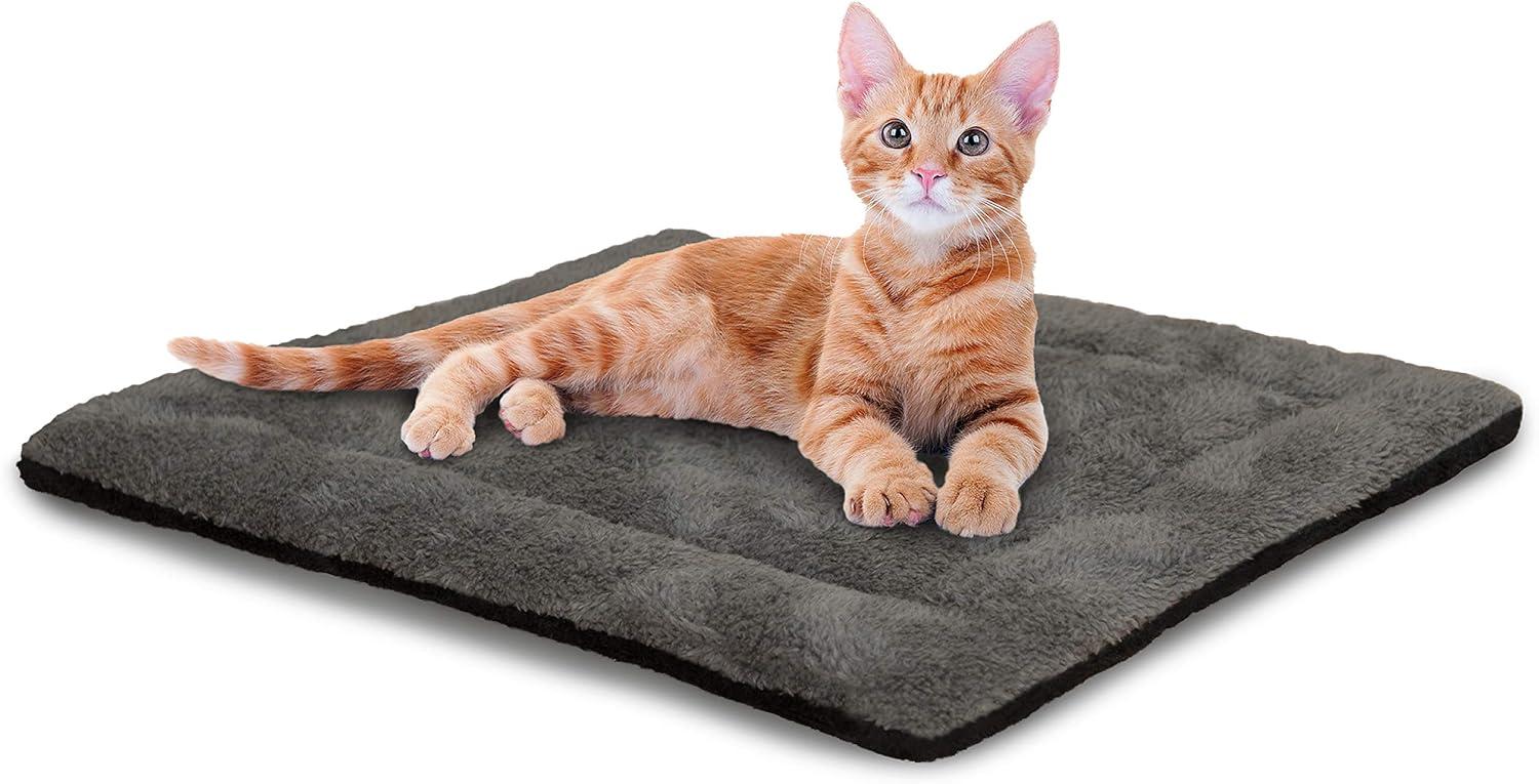 KH Cat and Dog Self-Warming Bed Pad for $7.99