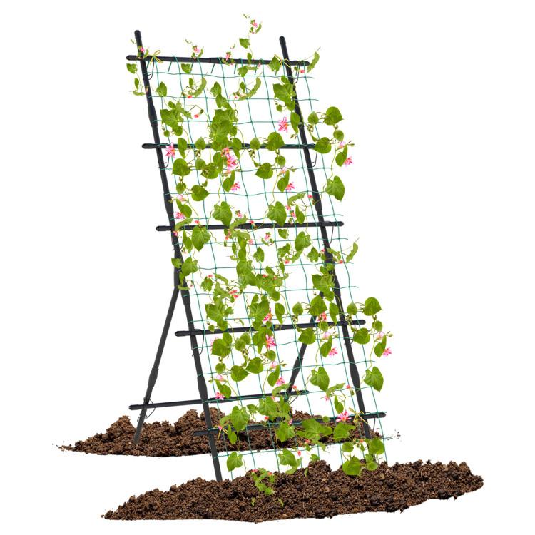 Tall Garden Trellis for Flower Vine Vegetable Fruit Pea for $34 Shipped