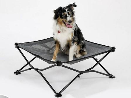 Coolaroo on the go elevated travel Dog bed for $19.77