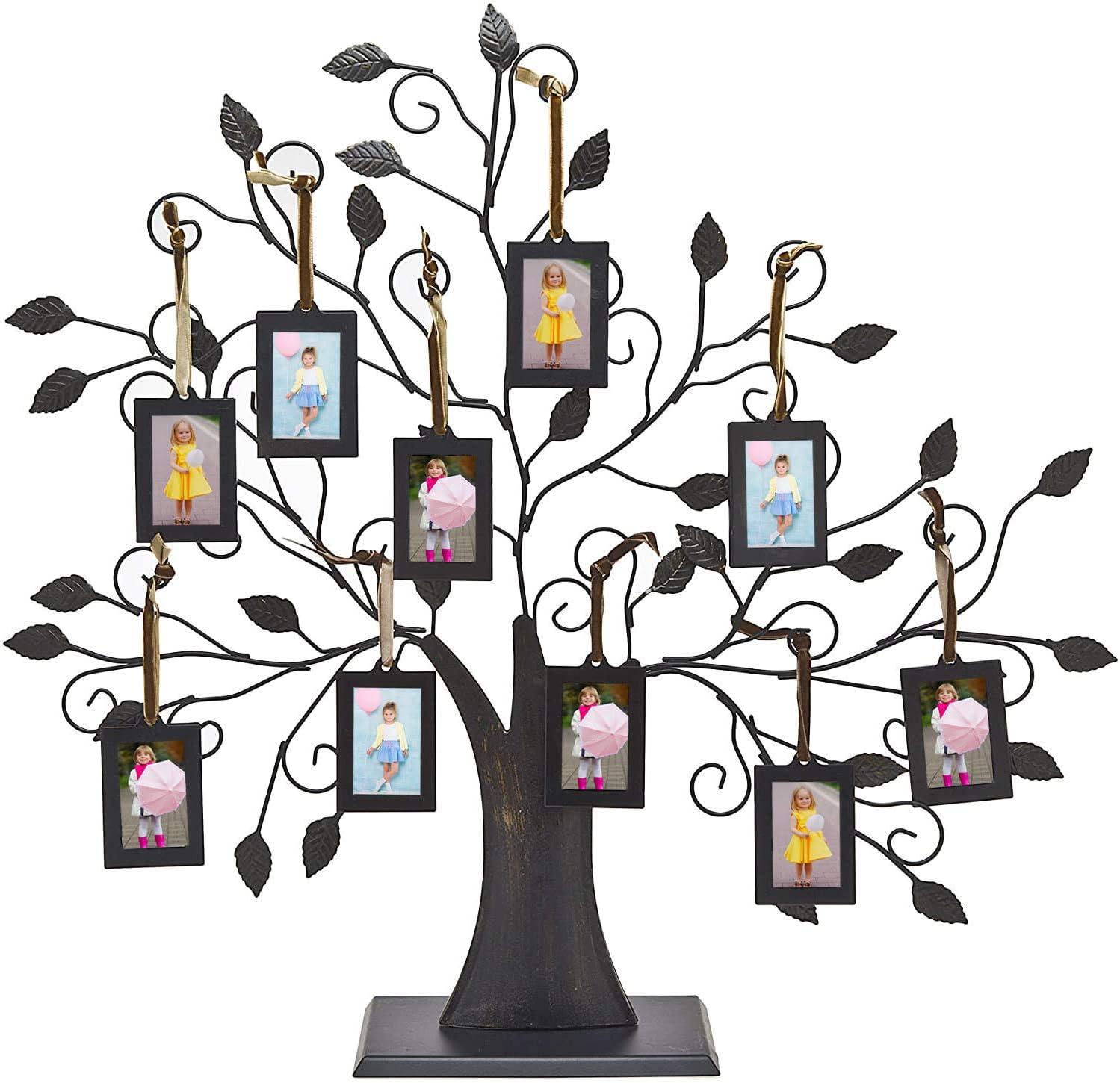 Philip Whitney Family Tree Picture Frame with 10 Frames for $26.97