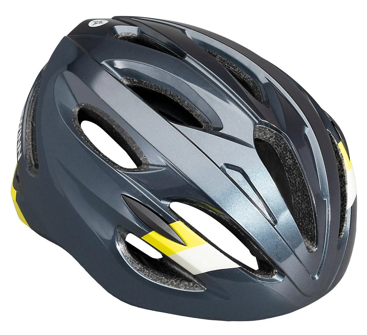 Schwinn Regent Adult Bicycle Helmet for $10