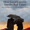 How Good Lawyers Survive Book